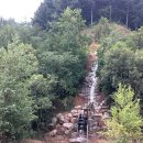 강원도산림개발연구원 집다리골자연휴양림 이미지