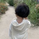 플랜티풀랜드 이미지