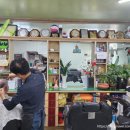 스타이용소 - 김천시 아랫장터4길 24 | 스타이용소