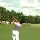 LEE 골프 이미지