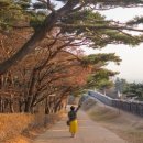 수원팔색길 화성성곽길 이미지