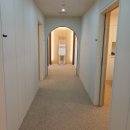 리온 메디 이미지