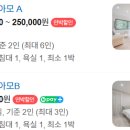 스테이아모
