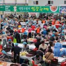 평창 고랭지 김장축제 11월 4일 개막… 체험 물량 20% 확대 이미지
