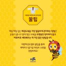 태사랑 태권도 이미지