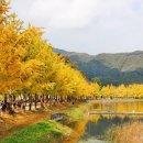 장태산자연휴양림 이미지