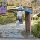 부산해양경찰서 청학출장소 | [부산 영도구] 청학시장