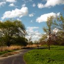 구름산책길 이미지