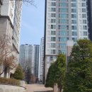 용용당구클럽 이미지