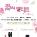 도테라더아로마하우스