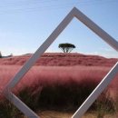 신소양체육공원화장실(주차장) 이미지