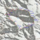 신기리 도로변 이미지