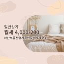 부동산명가공인중개사사무소 | 아산부동산명가공인중개사사무소에서 소개하는 매물 - 월세