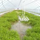 신무농장 이미지