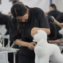 애견미용사 3급 자격증 과정 1 티스토리