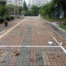 능동초교 이미지