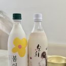 순희막걸리 | 봄이 막걸리 vs 순희 막걸리 솔직 비교후기! 깔끔한 막걸리 추천