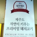 조코제주똥돼지 이미지