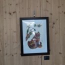 아림고등학교 이미지