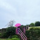 태란 펜션 이미지