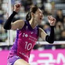 챔프 체육관 이미지