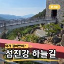 하동 진입 왕벚나무길 | "섬진강 150m 위?" 하동 스타웨이 아이와 가볼만한 가족여행 코스