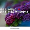 안성리-10 티스토리