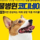 한국취업자격증센터 이미지