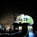 유석농장 이미지