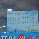 불미골오리 이미지