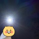 네일드초아