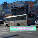 당골세천 네이버블로그