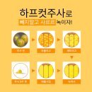 하프의원 이미지