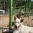 준독트레이닝센터 이미지