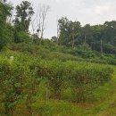 굿마루농장 이미지