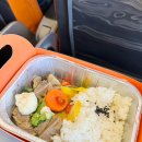 영임이네식품 | 2024 마쓰야마 | 마쓰야마발 인천행 제주항공 7C1703 승무원 기내식, 삼원가든 소갈비찜 기내식 후기