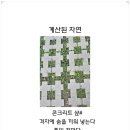 진순희