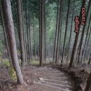 축령산 산소길(1구간) 이미지