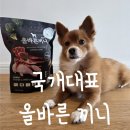 끼니 | 강아지가잘먹는사료, 기호성좋은사료 '국개대표 올바른끼니' 후기