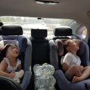 오복매점 이미지