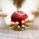 알찬정보 이미지