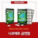 양지온누리약국 이미지