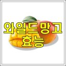 와일드 망고의 효능 이미지