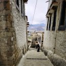 경문목장 | 세계에서 제일 큰 사원 드레풍 사원(철방사/哲蚌寺)