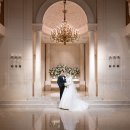 두손모아 반딧불이 | 공덕 아펠가모 본식스냅 추천 | 라로브홀 결혼식 후기 | 공덕웨딩홀추천 | 공덕본식스냅 | 아펠가모스냅...