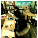 낭랑한 책읽기 이미지