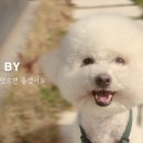 2024-주217 이미지