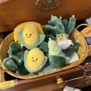 오렌지블루 이미지