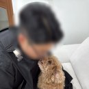 베베파우 - 김포시 양곡4로 84 | 베베파우