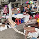 시종5일시장 이미지